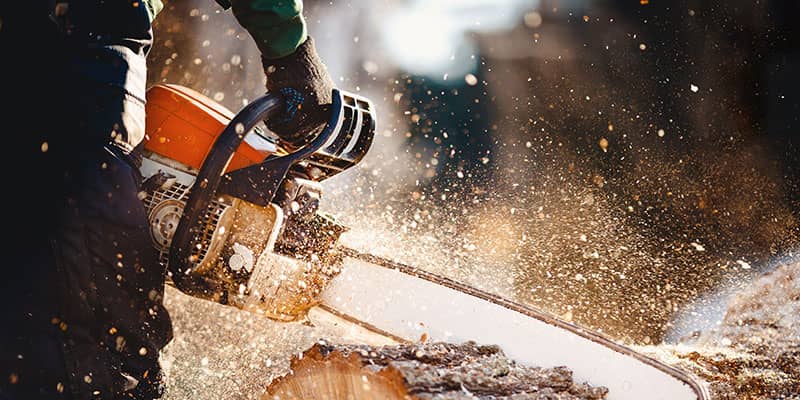 Chainsaw cutting logs